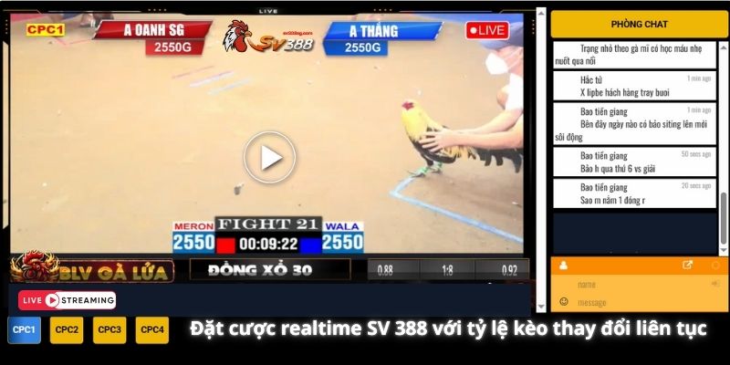 Đặt cược realtime SV 388 với tỷ lệ kèo thay đổi liên tục theo từng pha ra đòn
