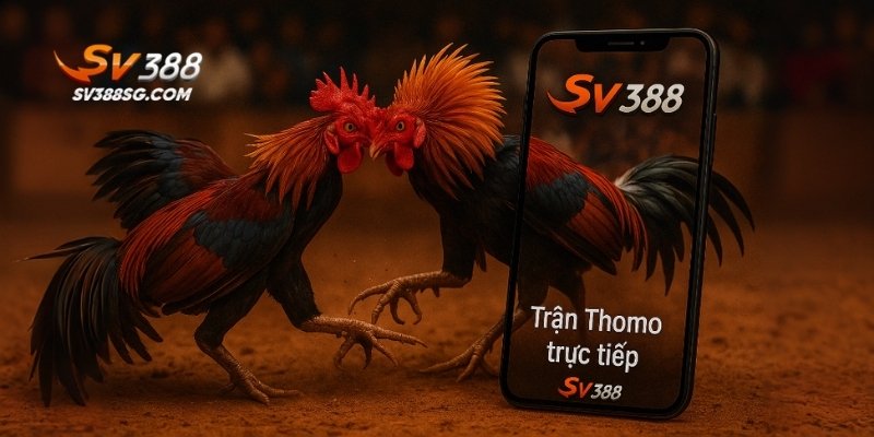Tải app SV388 để xem những trận đá gà siêu mượt